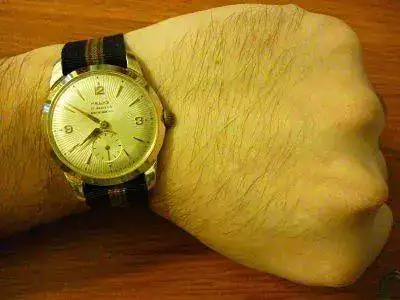 P1030744_opt.webp