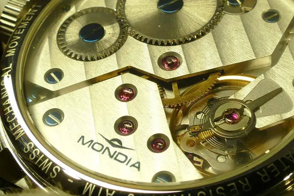 P1030918 còpia.webp