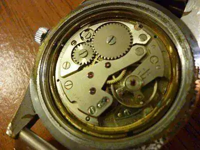 P1040157_opt.webp