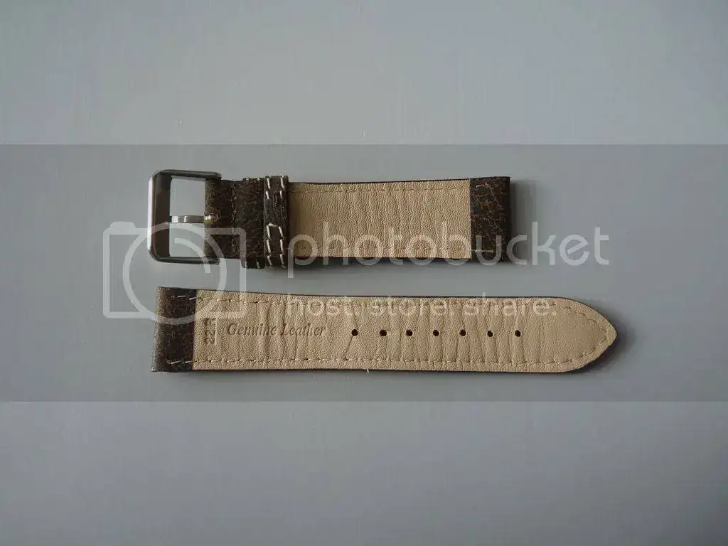 P1040835_zpso5nqtqrv.webp