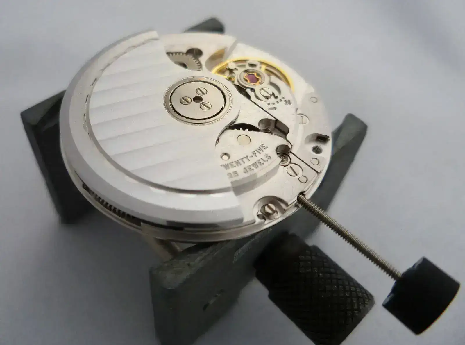 p1050220h.webp