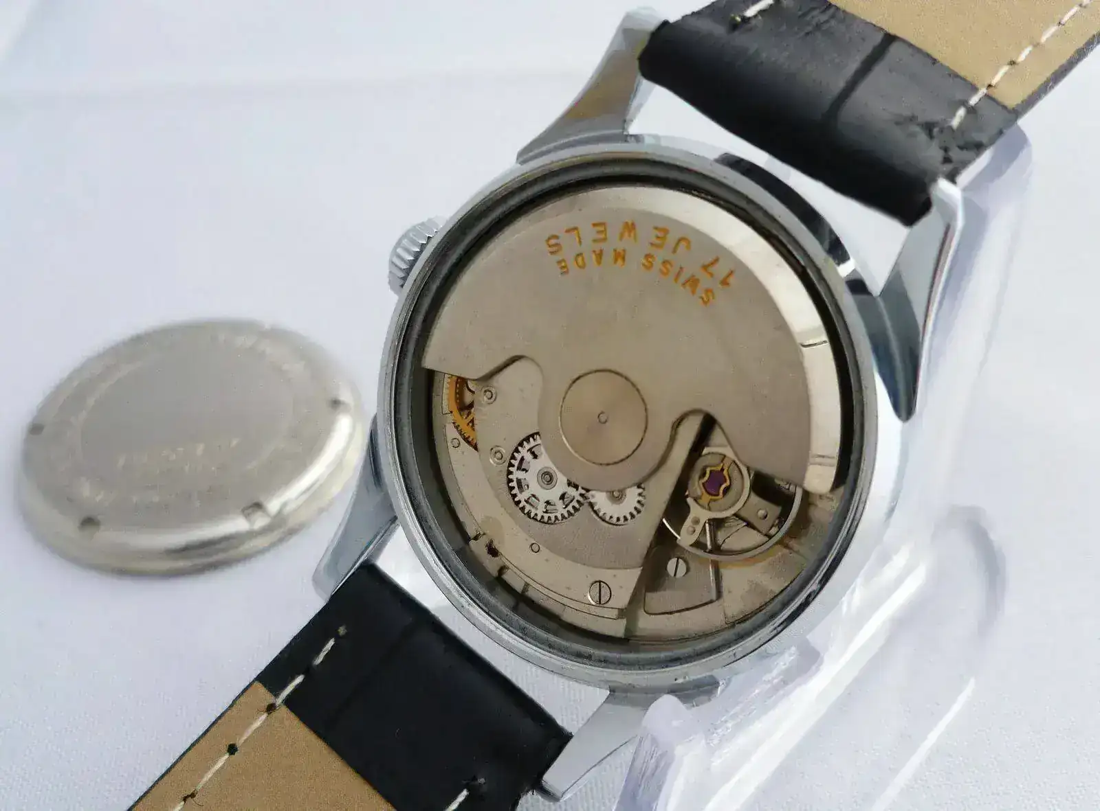 p1050382g.webp