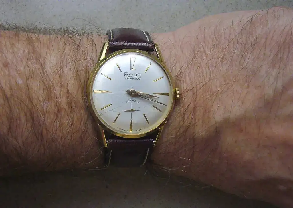 P1050718_2304.webp
