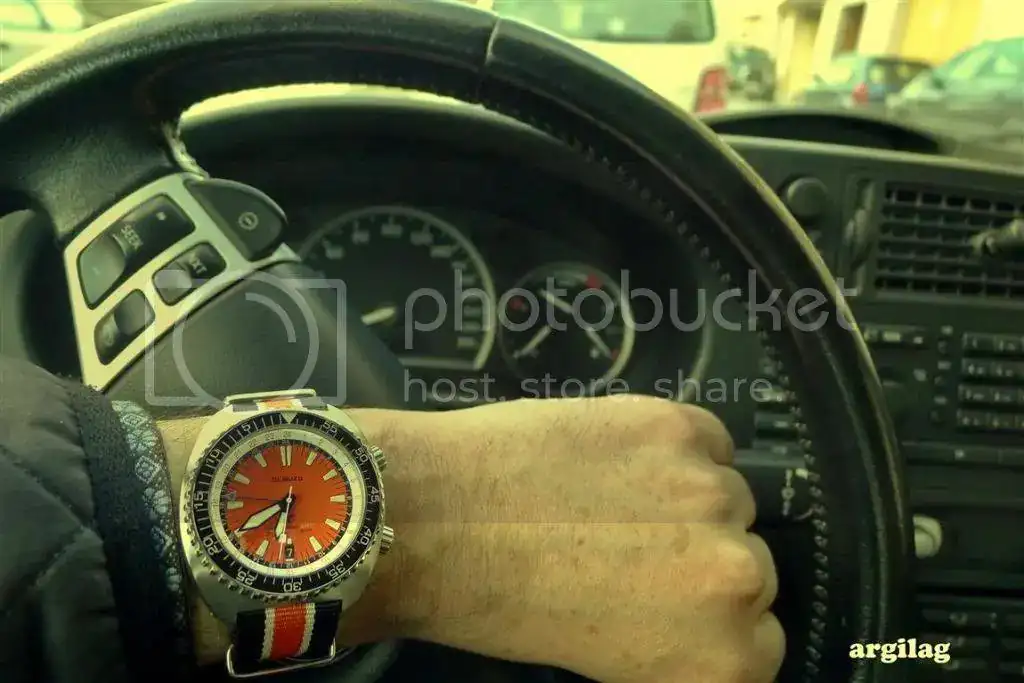 P1060366_zps11fb4bcb.webp