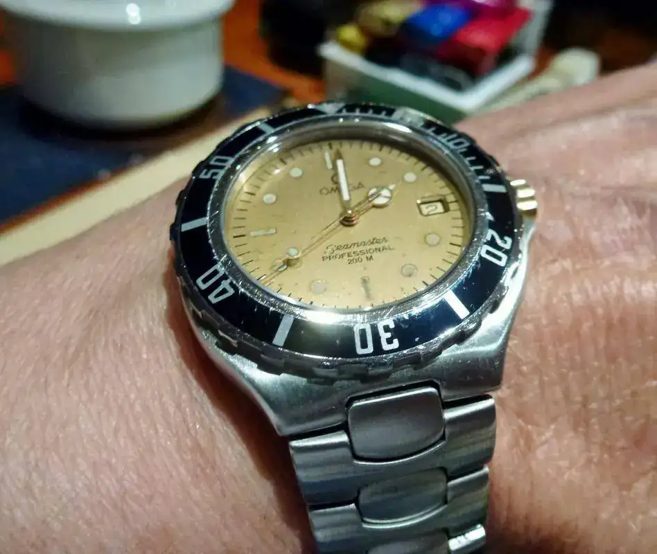 P1060402.webp
