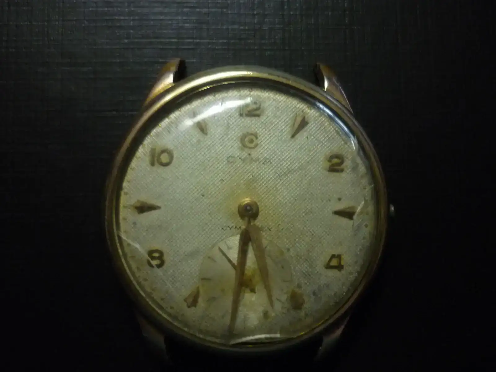 P1060586.webp