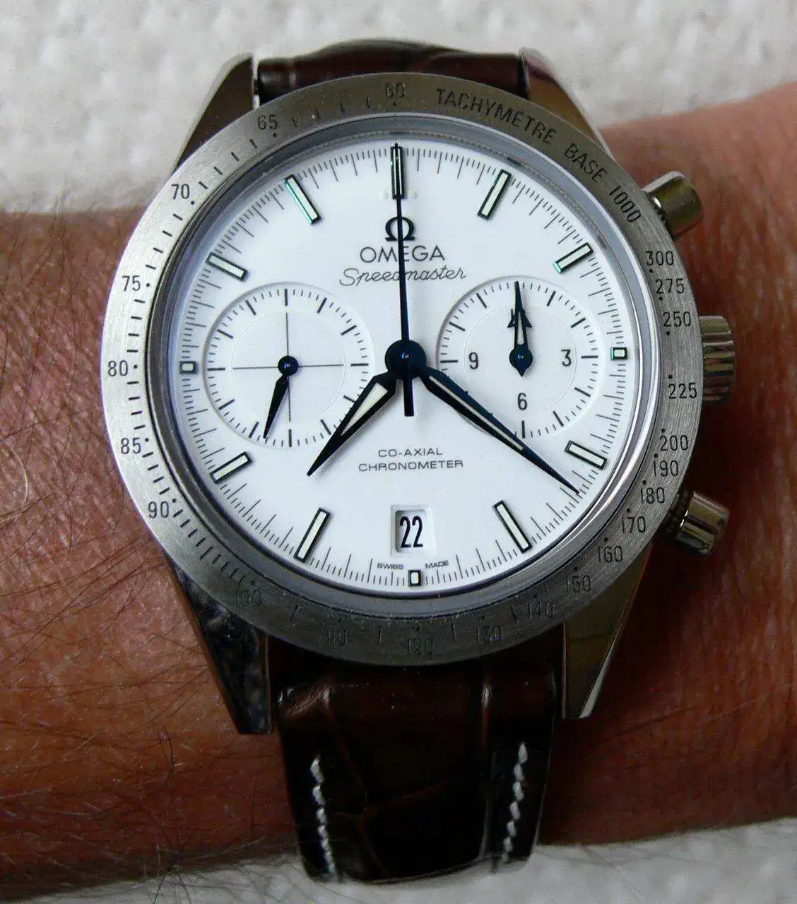 P1070083 recorte.webp