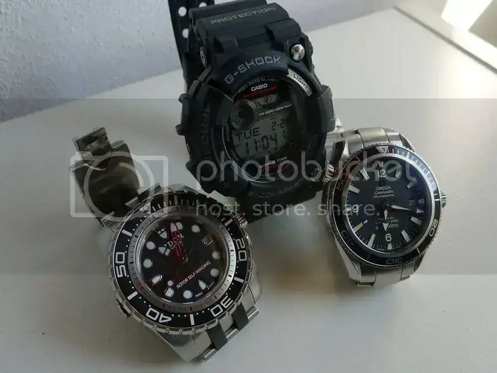 P1070103_divers.webp