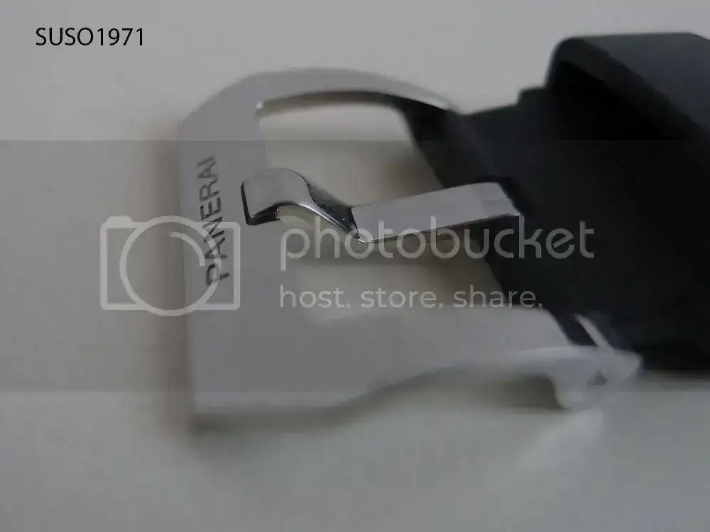 P1070258_1.webp