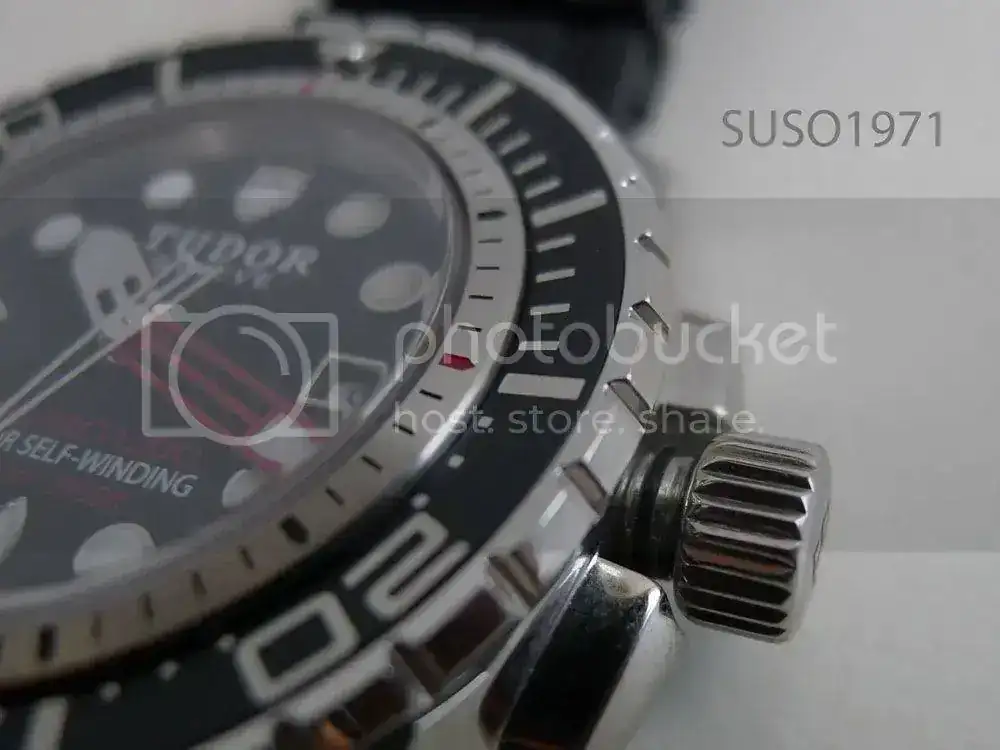 P1070264_NEW.webp