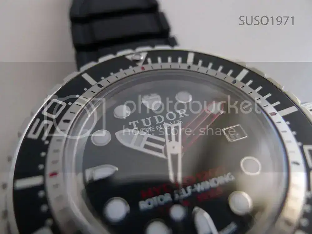 P1070265_NEW.webp