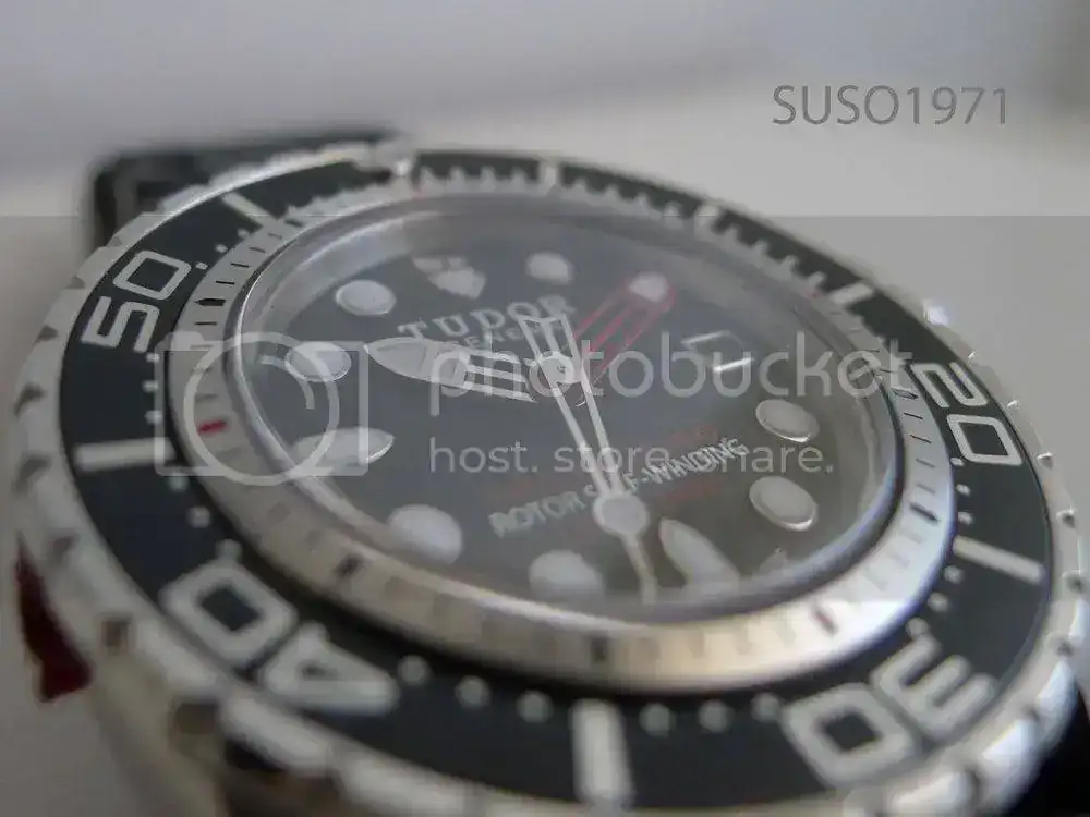 P1070269_NEW.webp