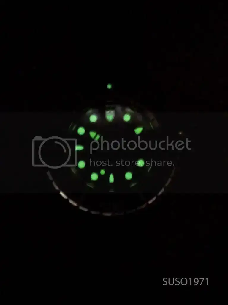P1070270_NEW.webp