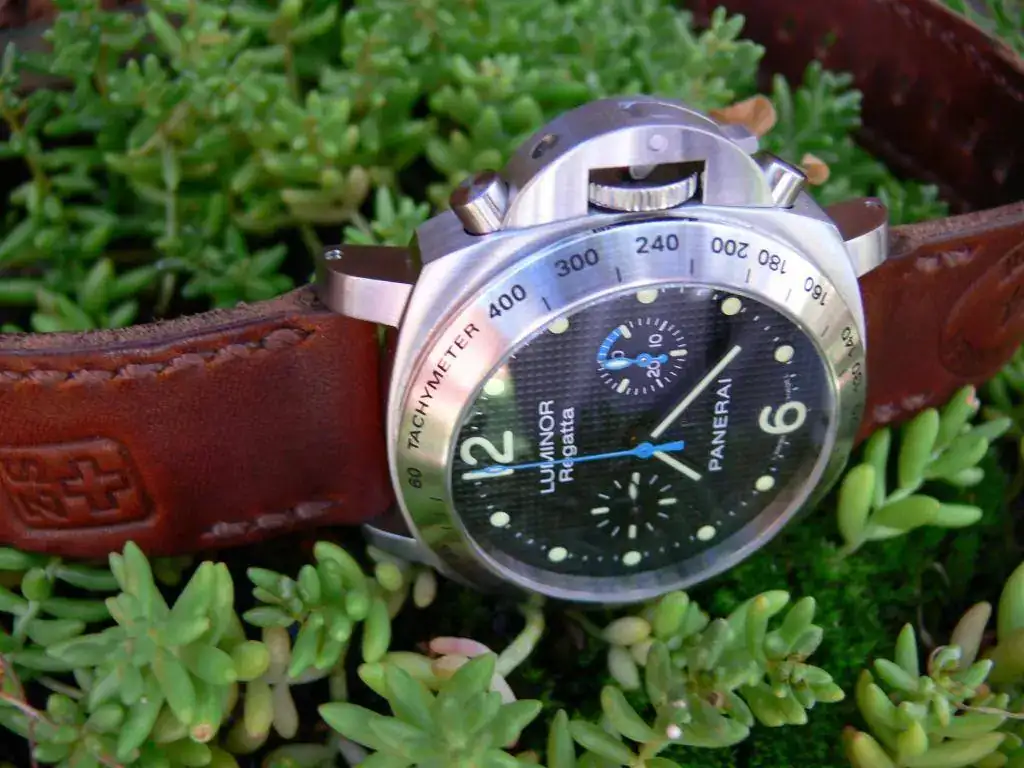 P1070371.webp