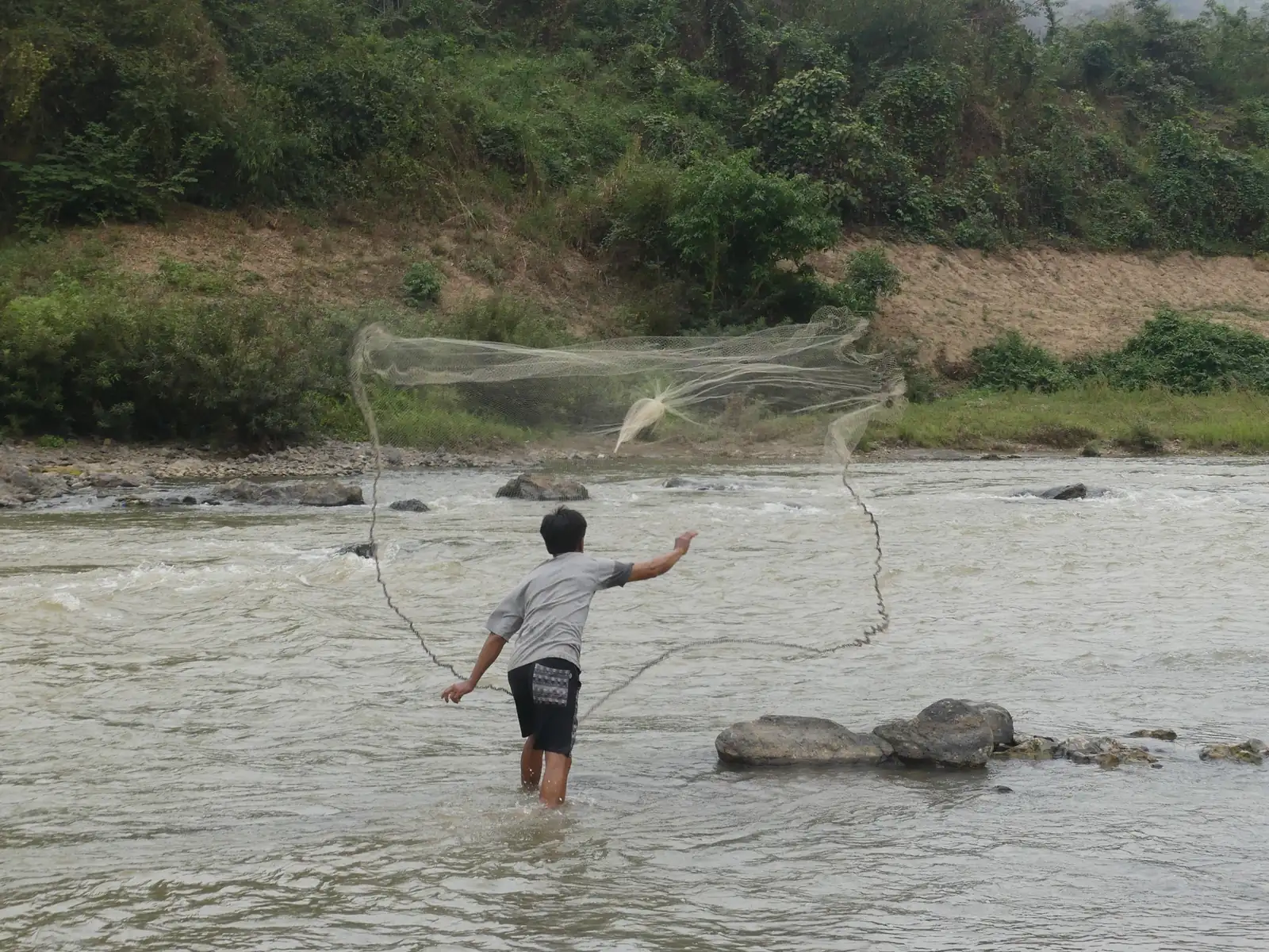 P1070491.webp