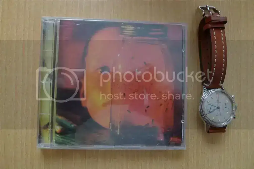 P1070561_zps640ae7ef.webp