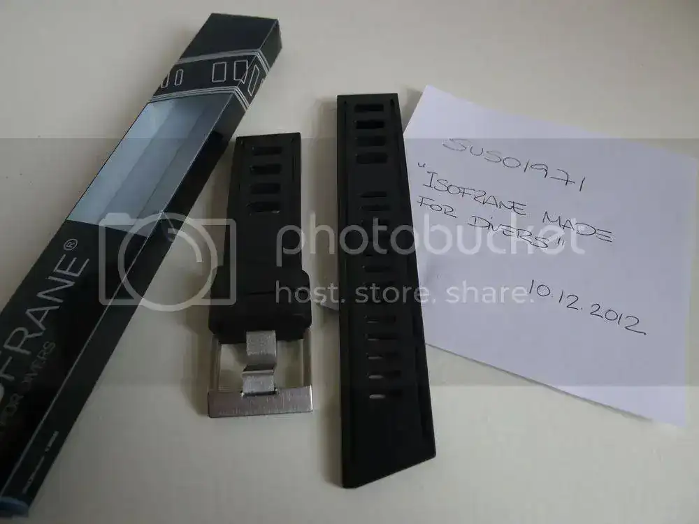 P1070631_iso.webp