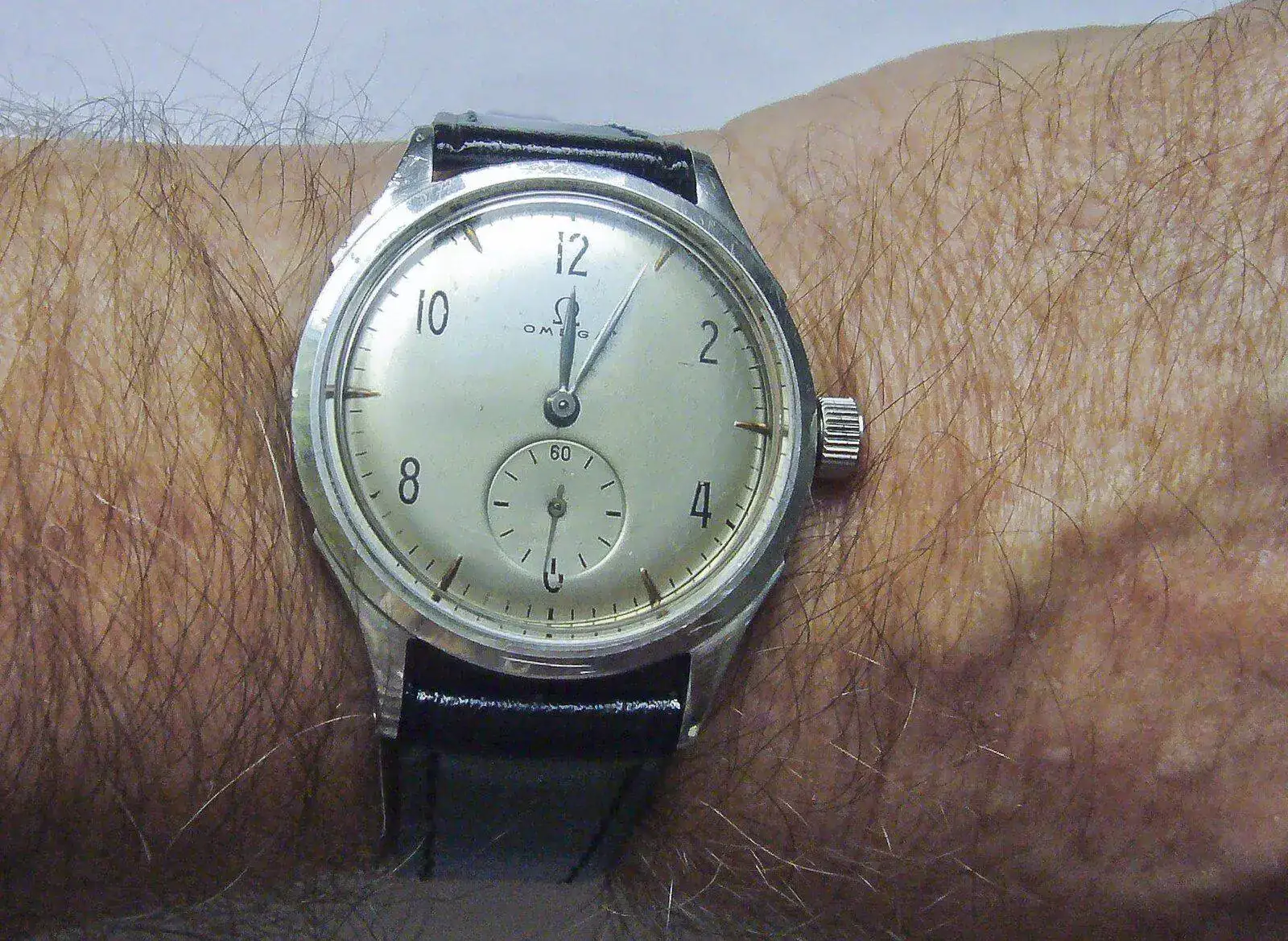 P1070693.JPG