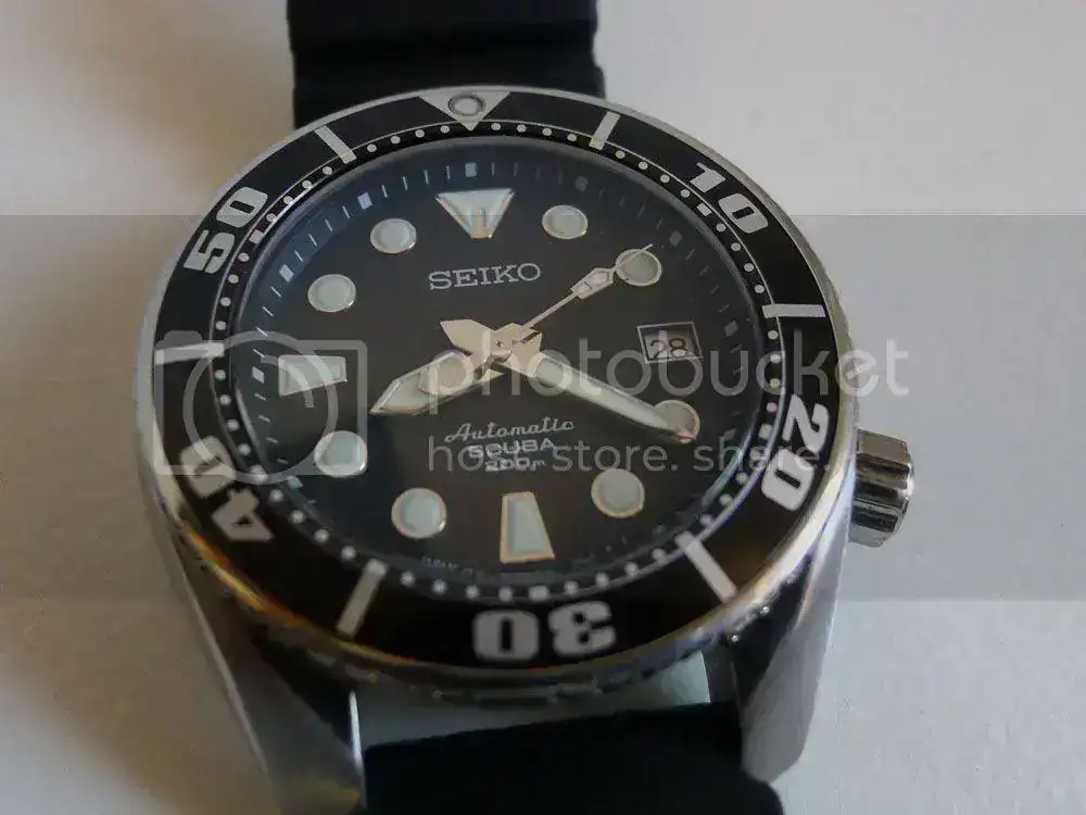 P1070900_zps50e33f1c.webp