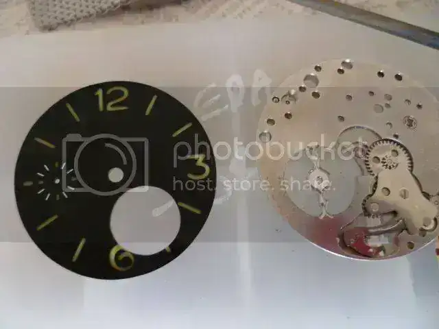 p1080623dz.webp