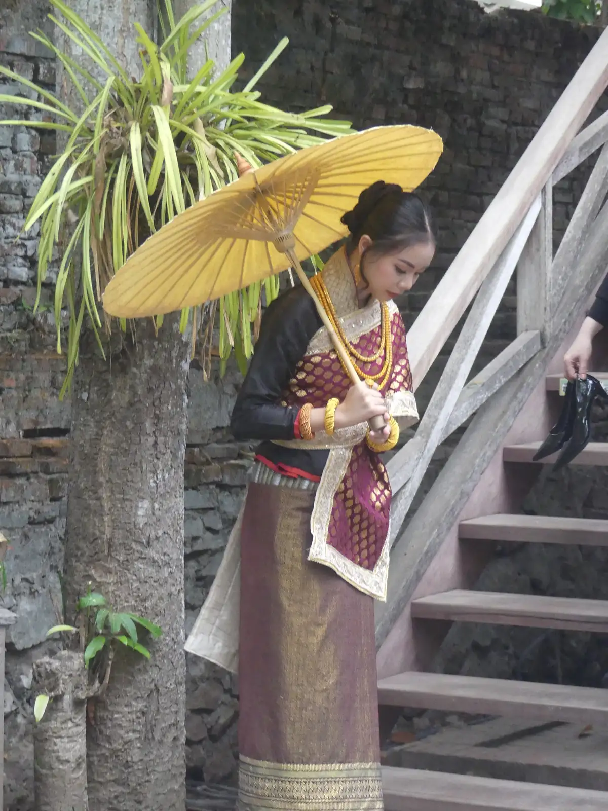 P1080984.webp