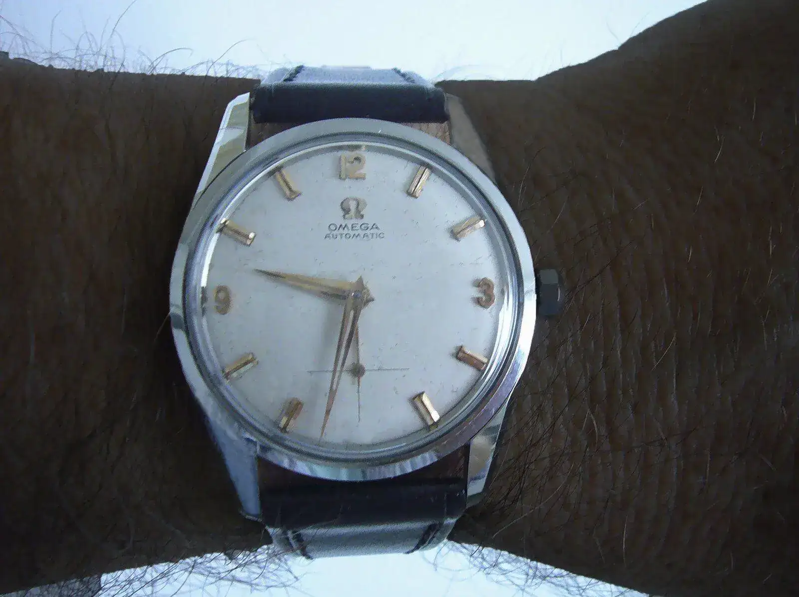 P1100377.webp