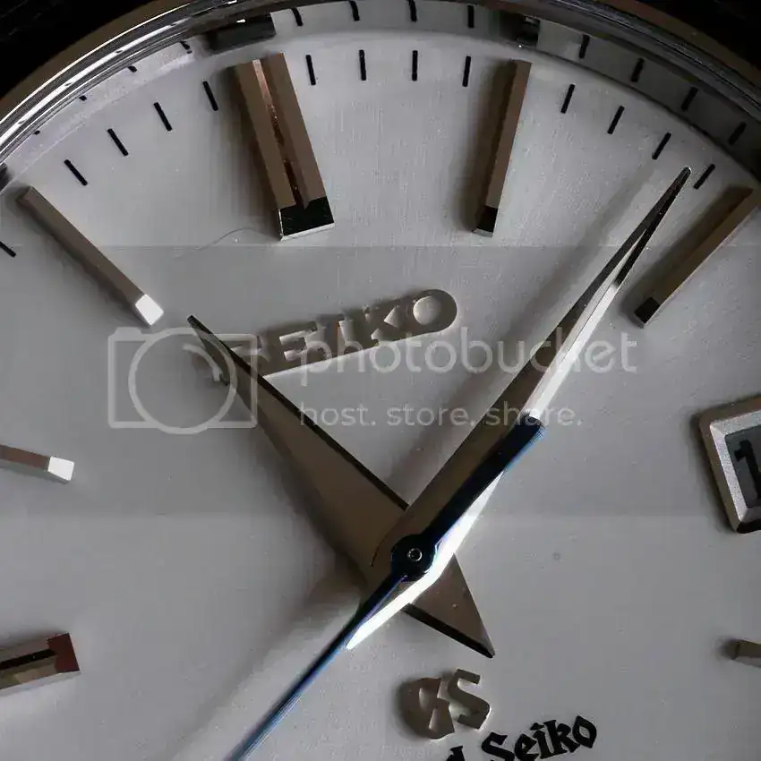 P1100999_zps19c3d796.webp