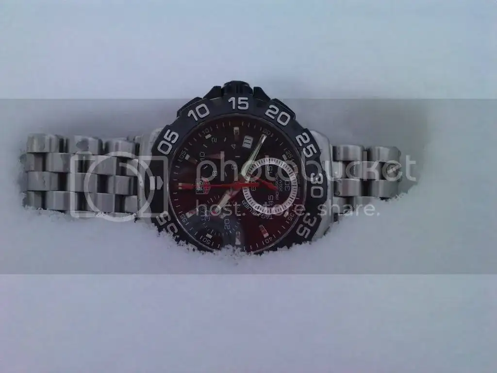 P110110_10200002.webp