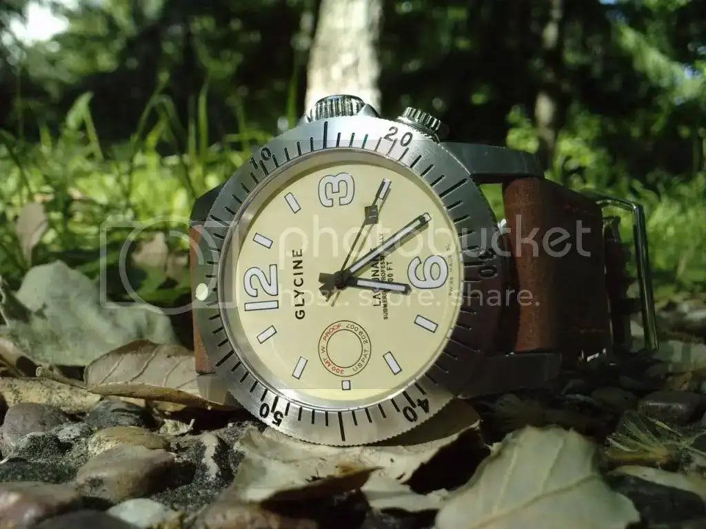 P110511_18250004.webp