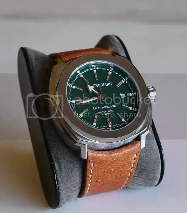 P1110046_zps0a49f961.webp