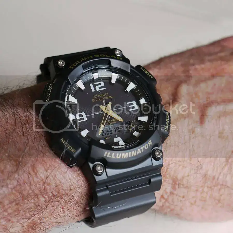 P1110493_zpsnxxatit6.webp