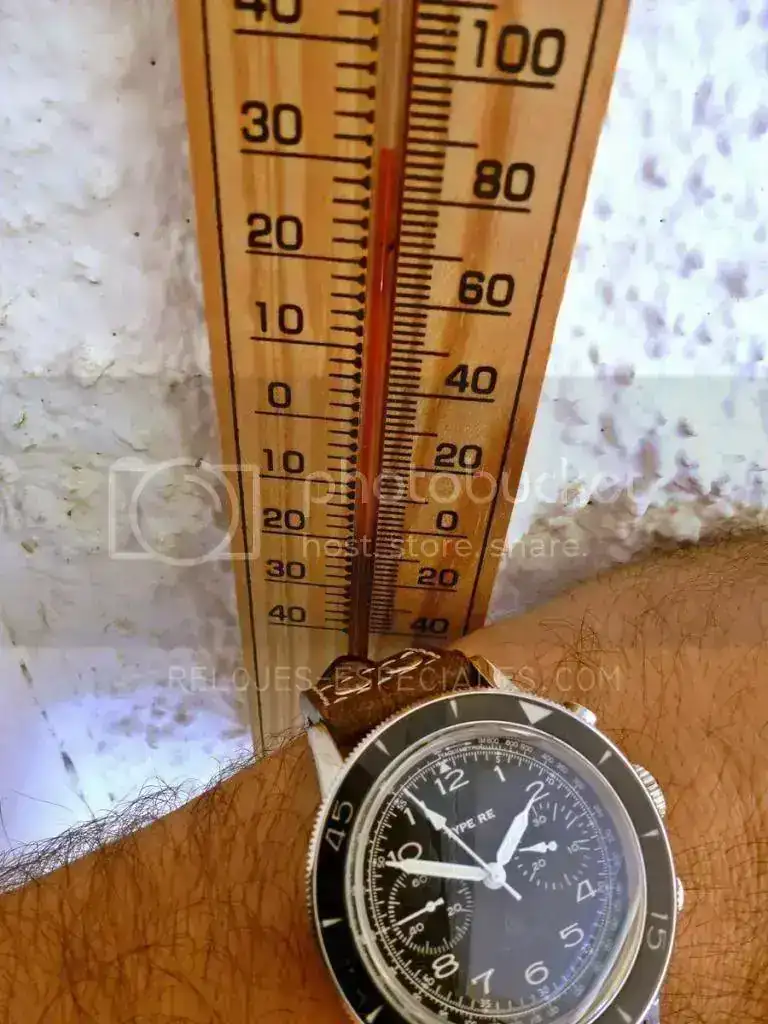 P1110564_zps038fb517.webp