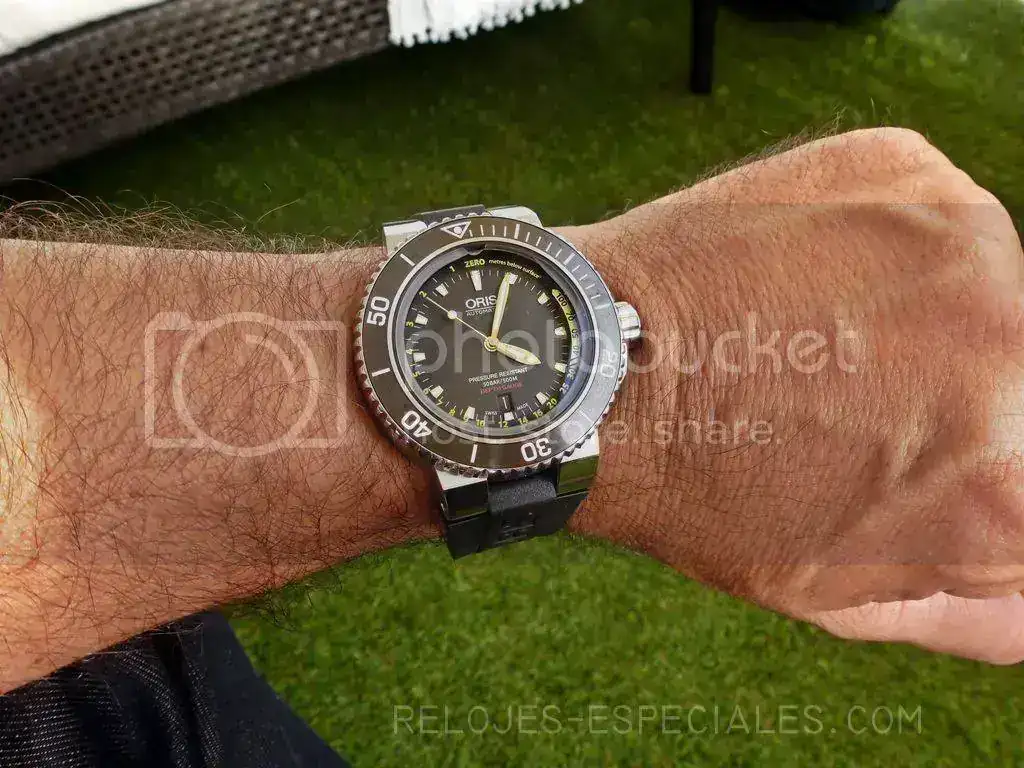 P1110584_zpsdf1193c9.webp