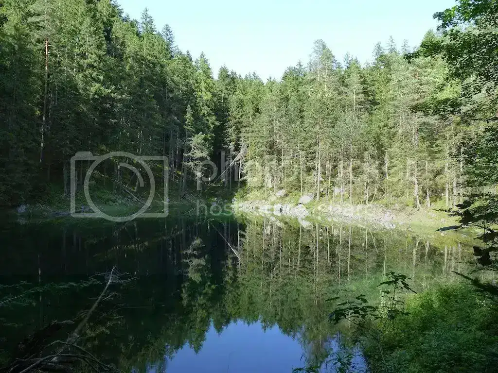 P1110643.webp