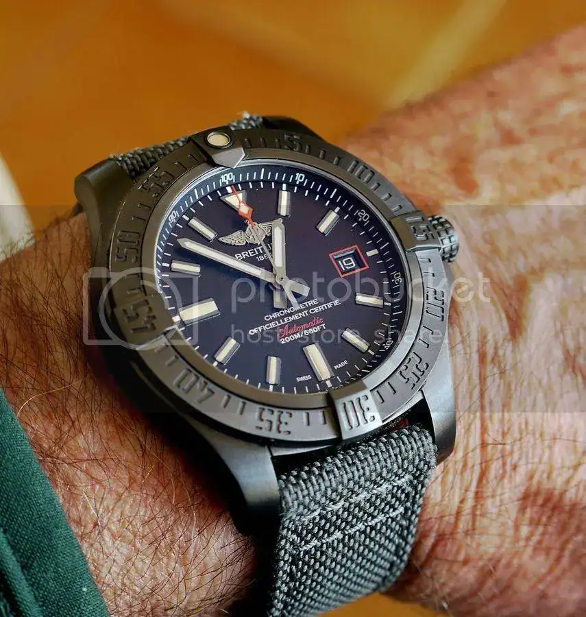 P1110860_zps1sr29uj5.webp