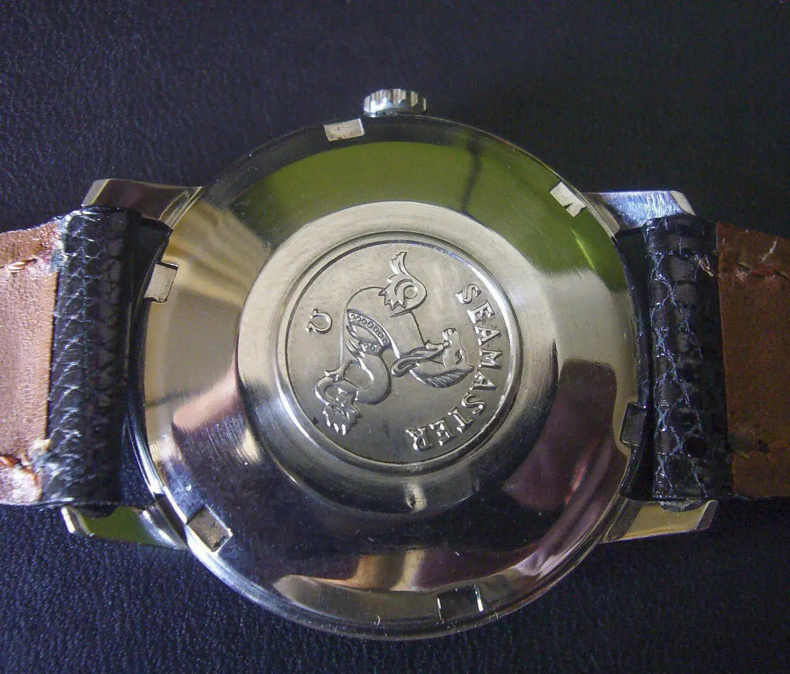 P1110887.webp