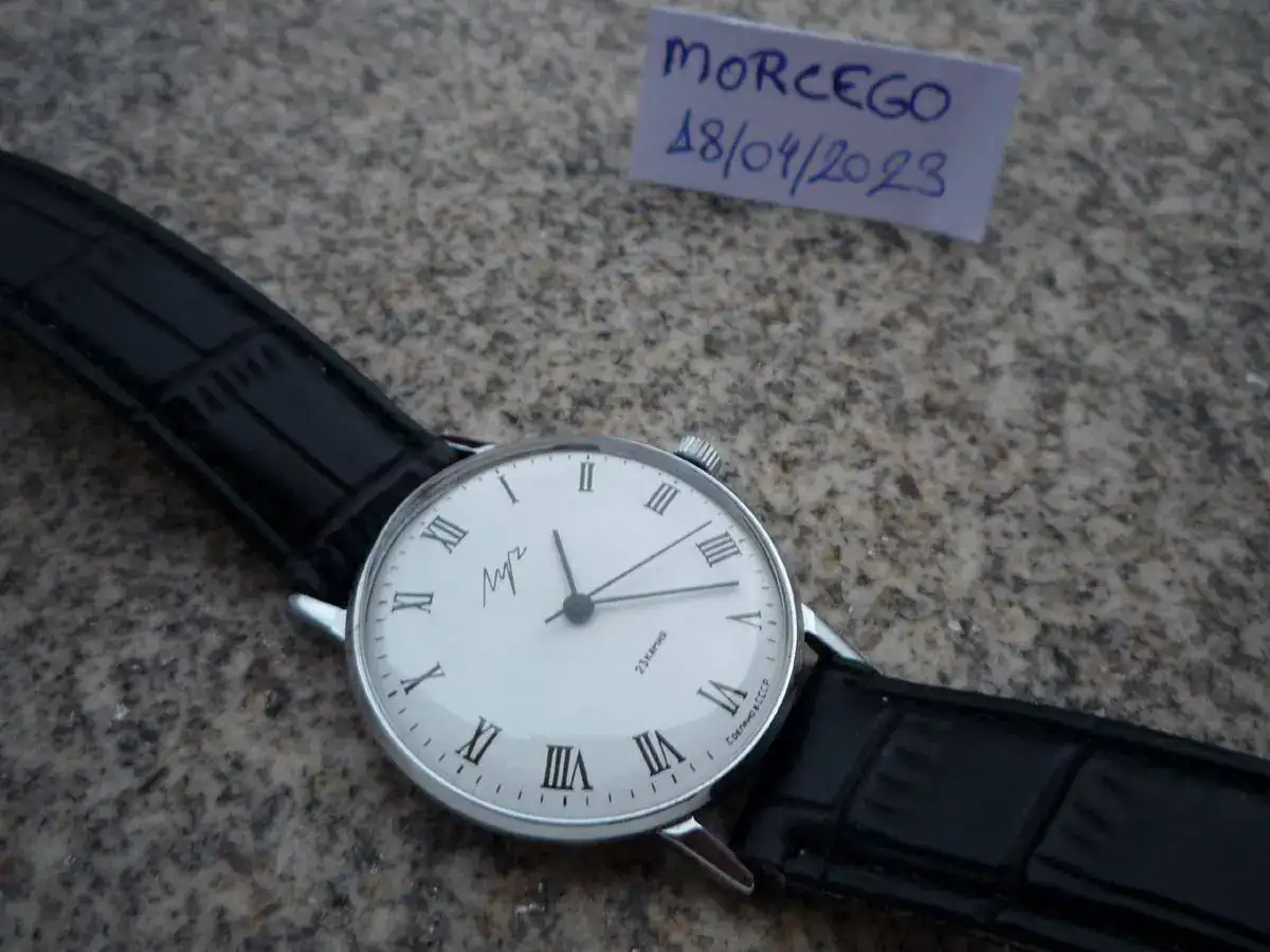 P1120133_resize.webp