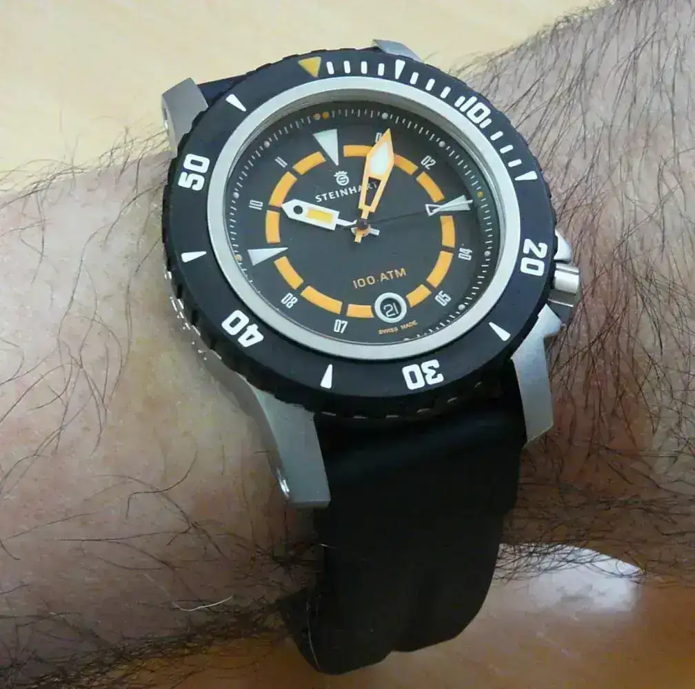 P1120427.webp