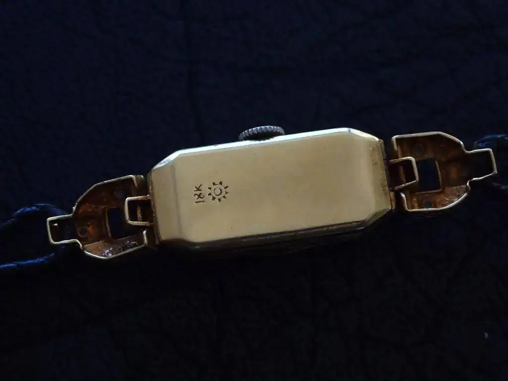 P1124269_zpszb46qmtf.webp