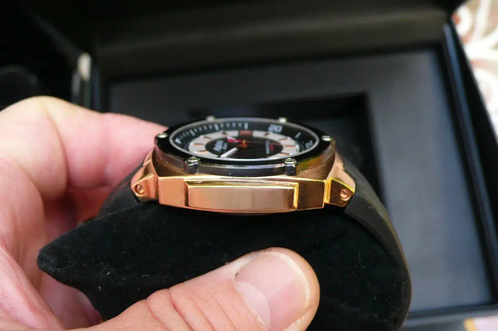 P1130010.webp