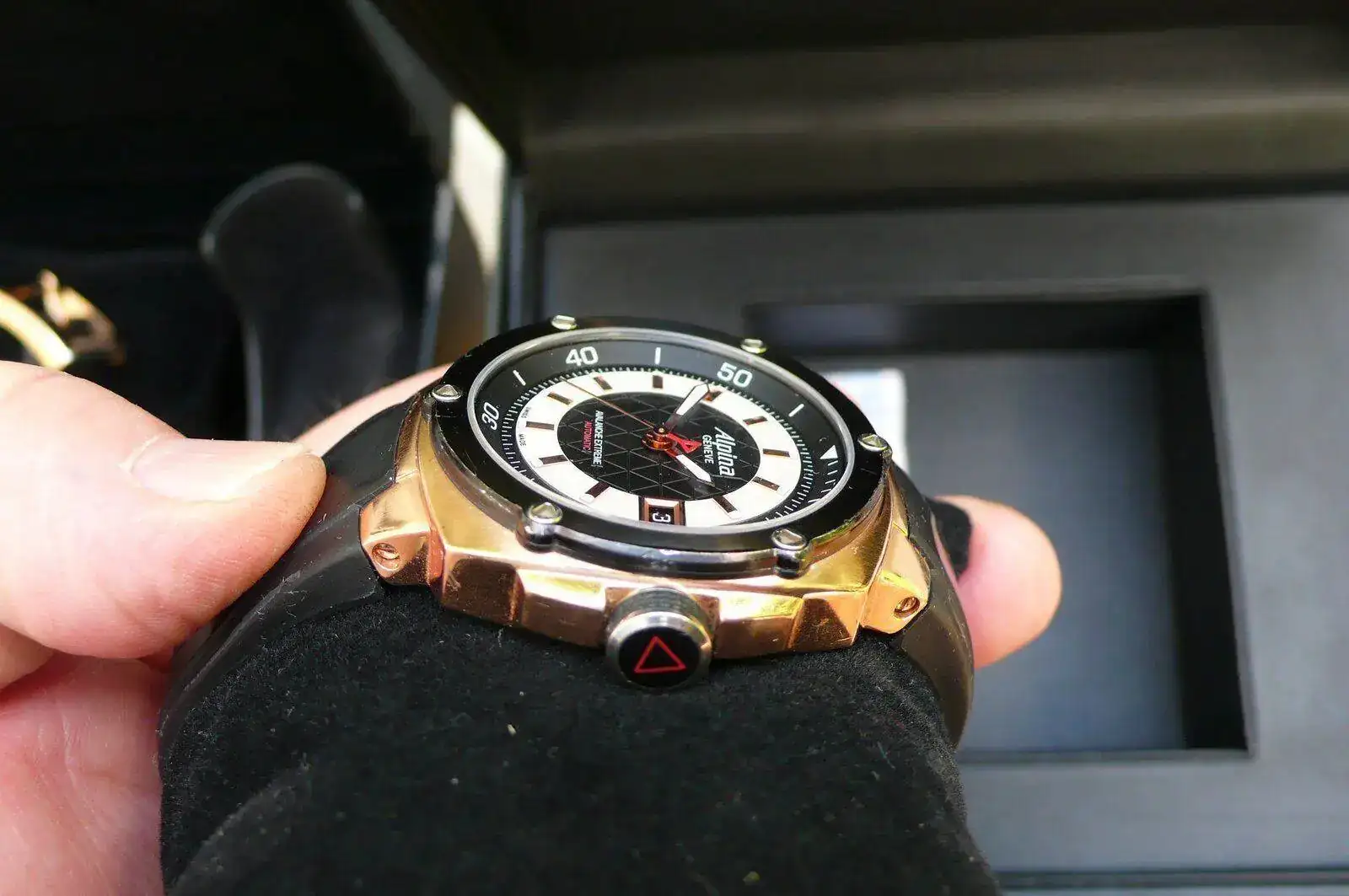 P1130011.webp