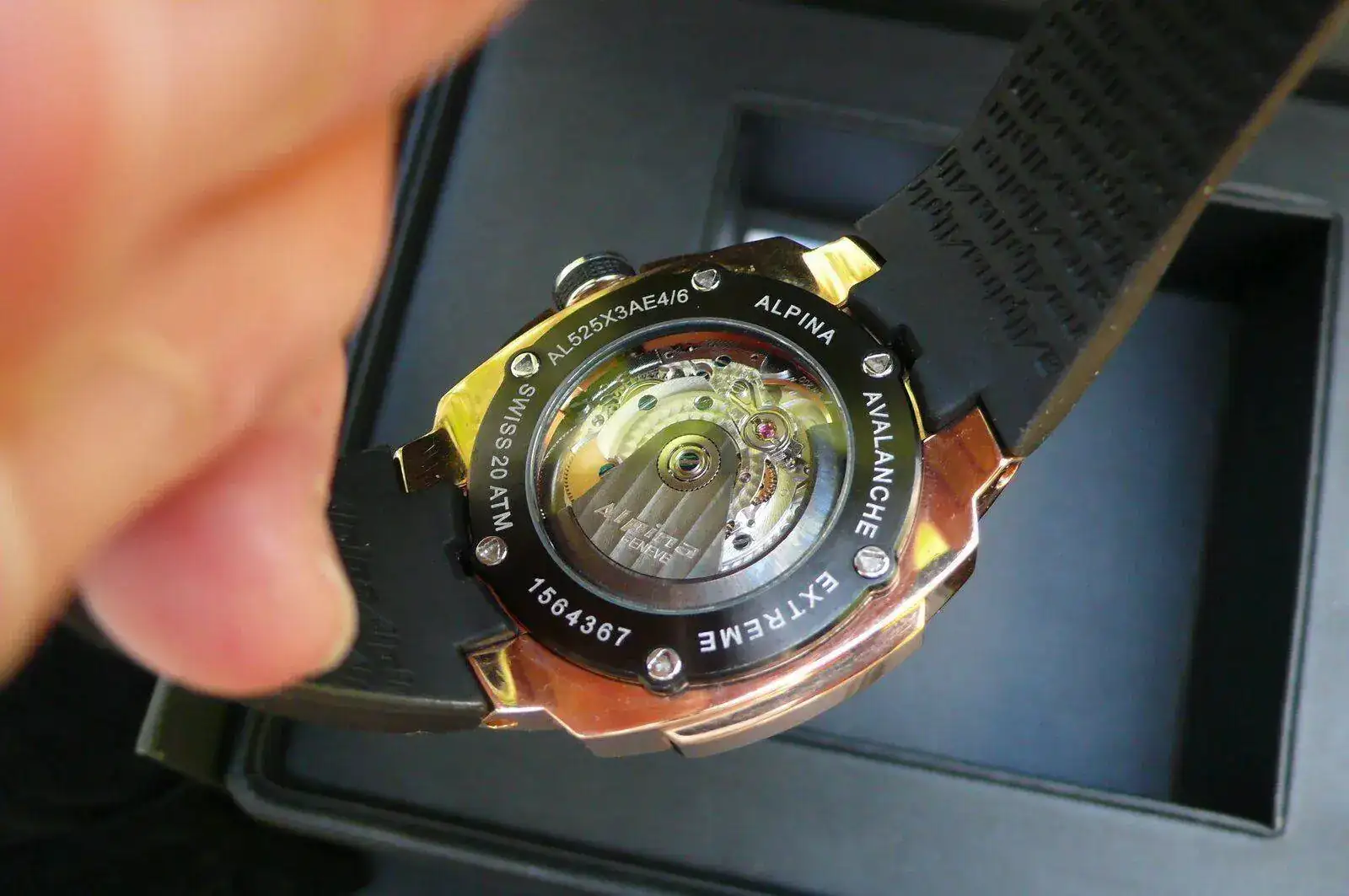 P1130013.webp
