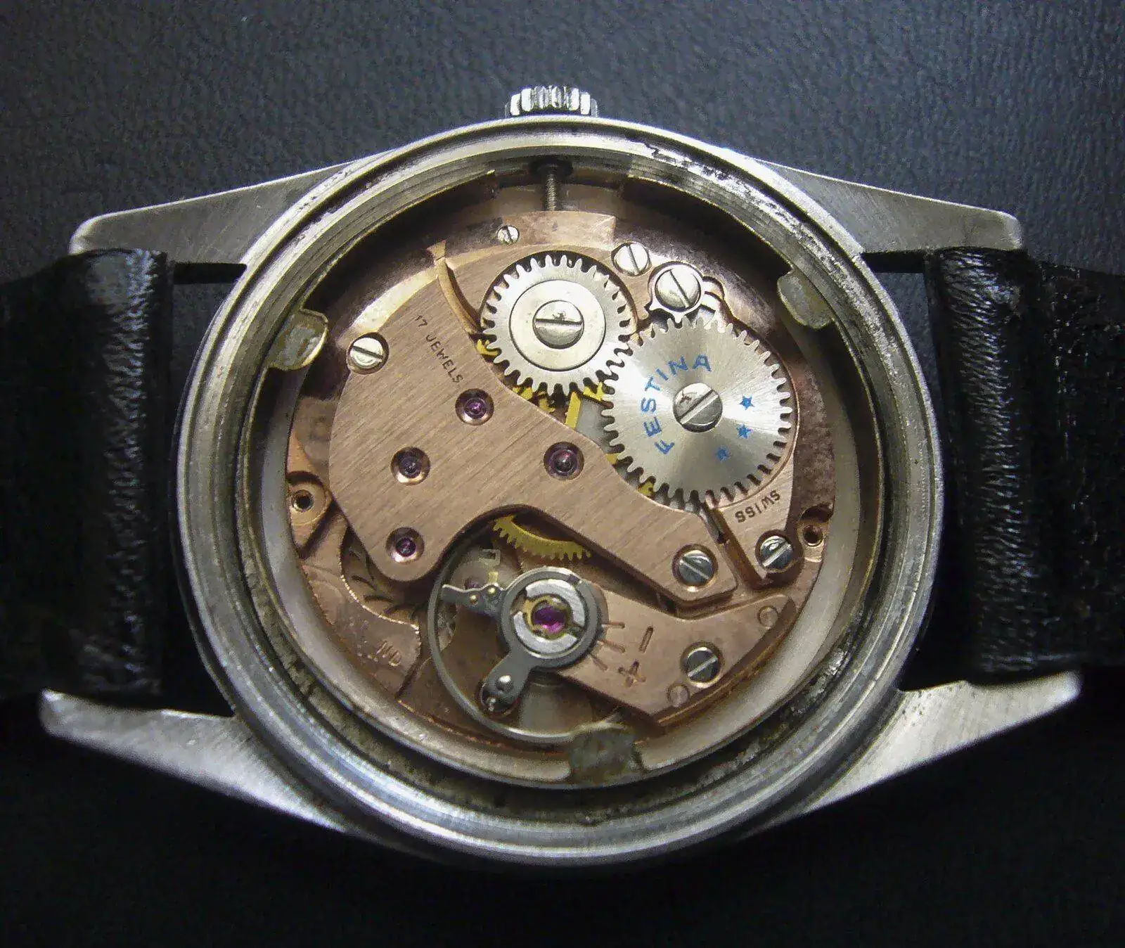 P1130133.JPG