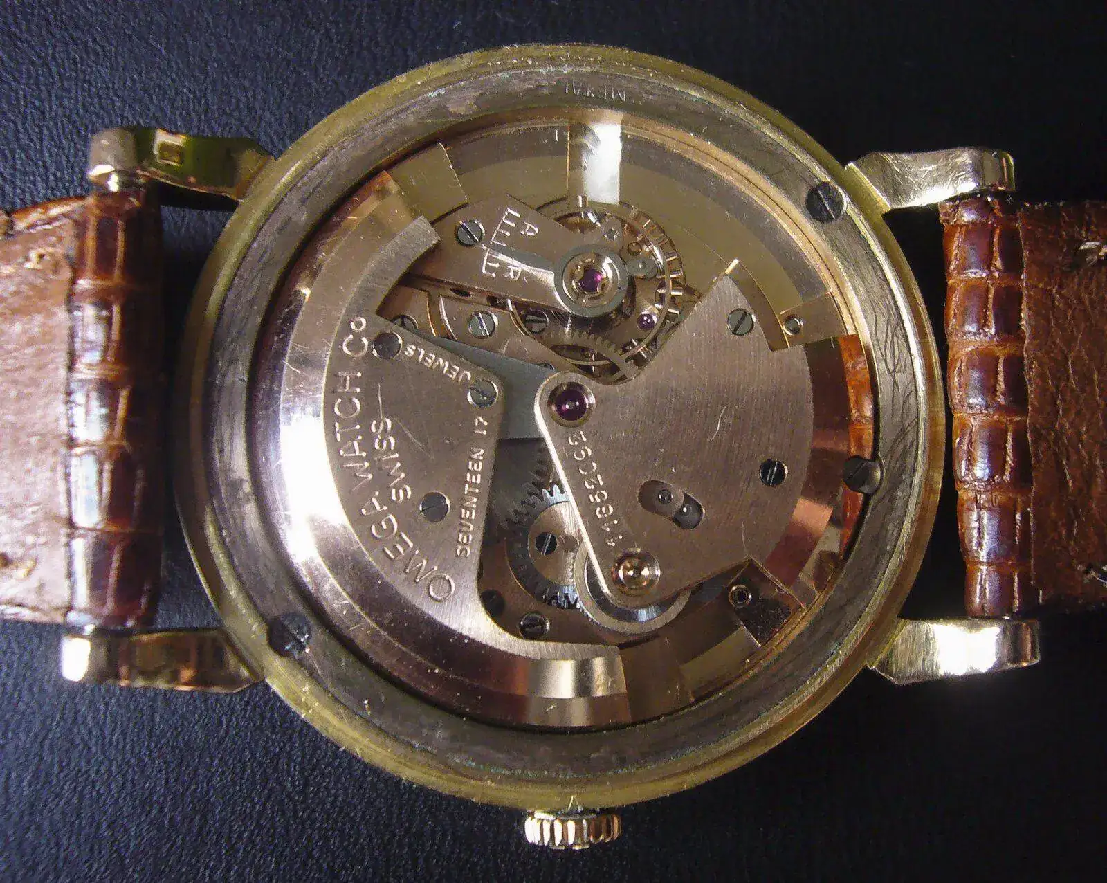 P1130547.webp