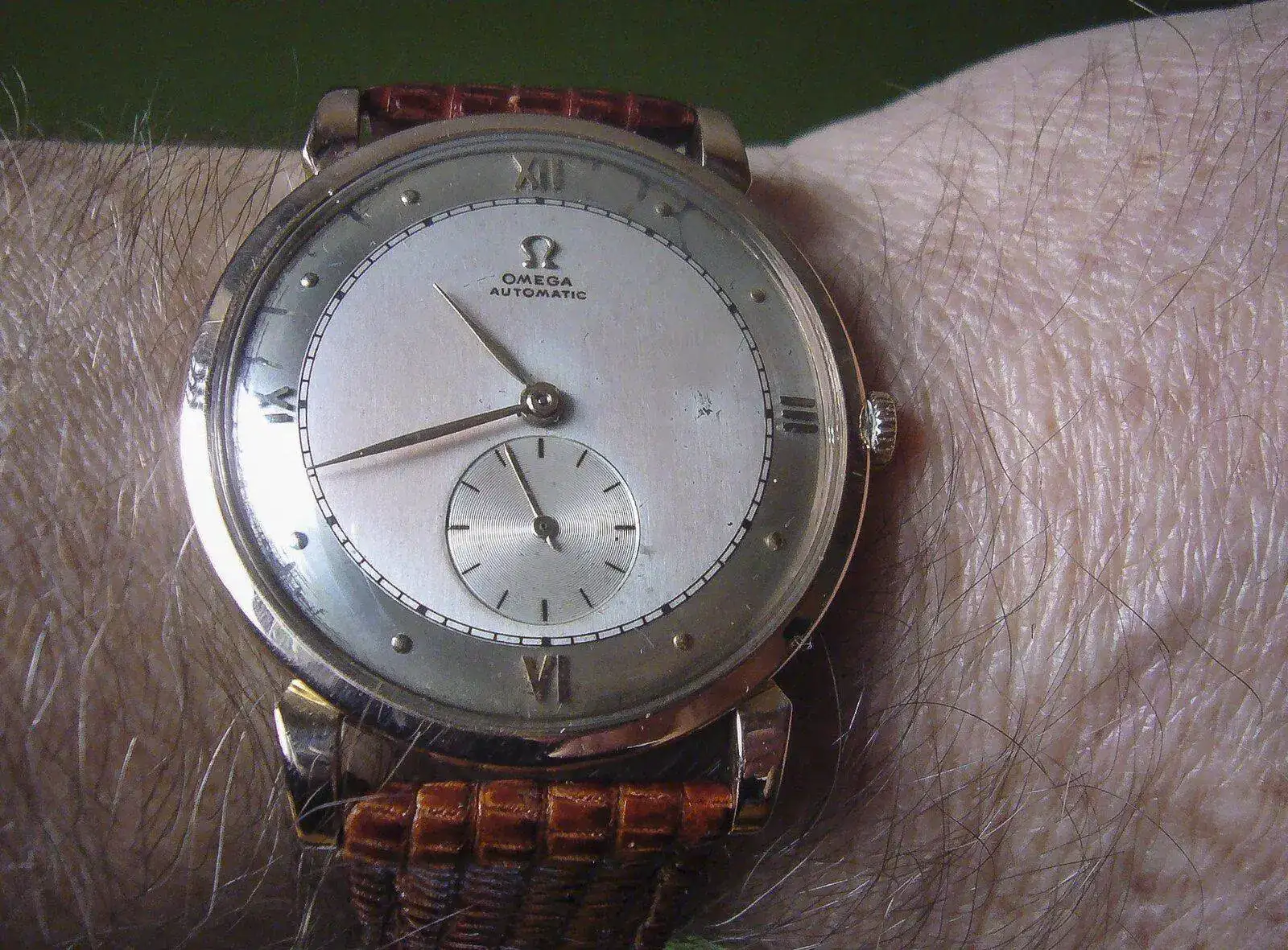 P1130644.webp