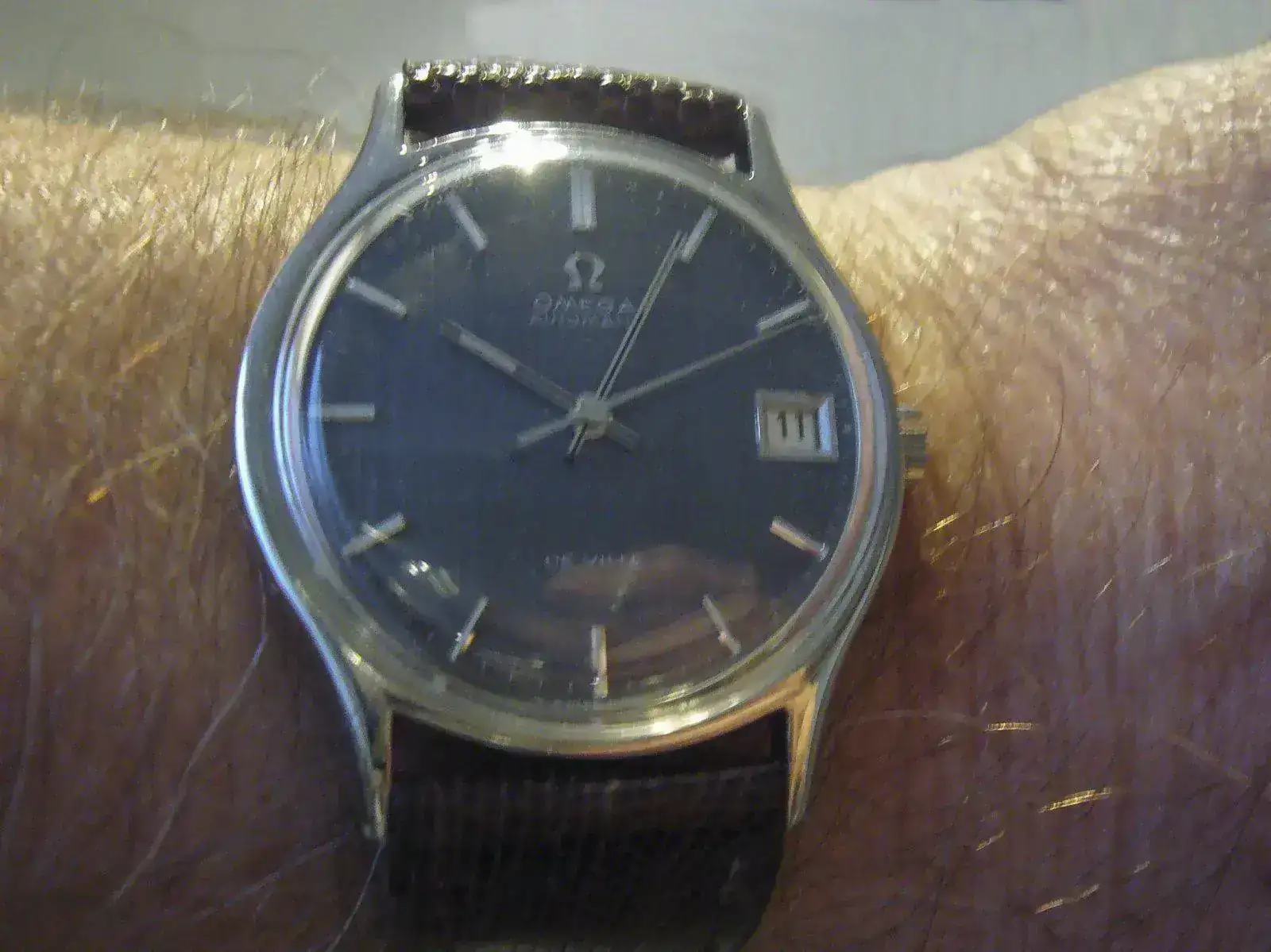 P1130649.webp