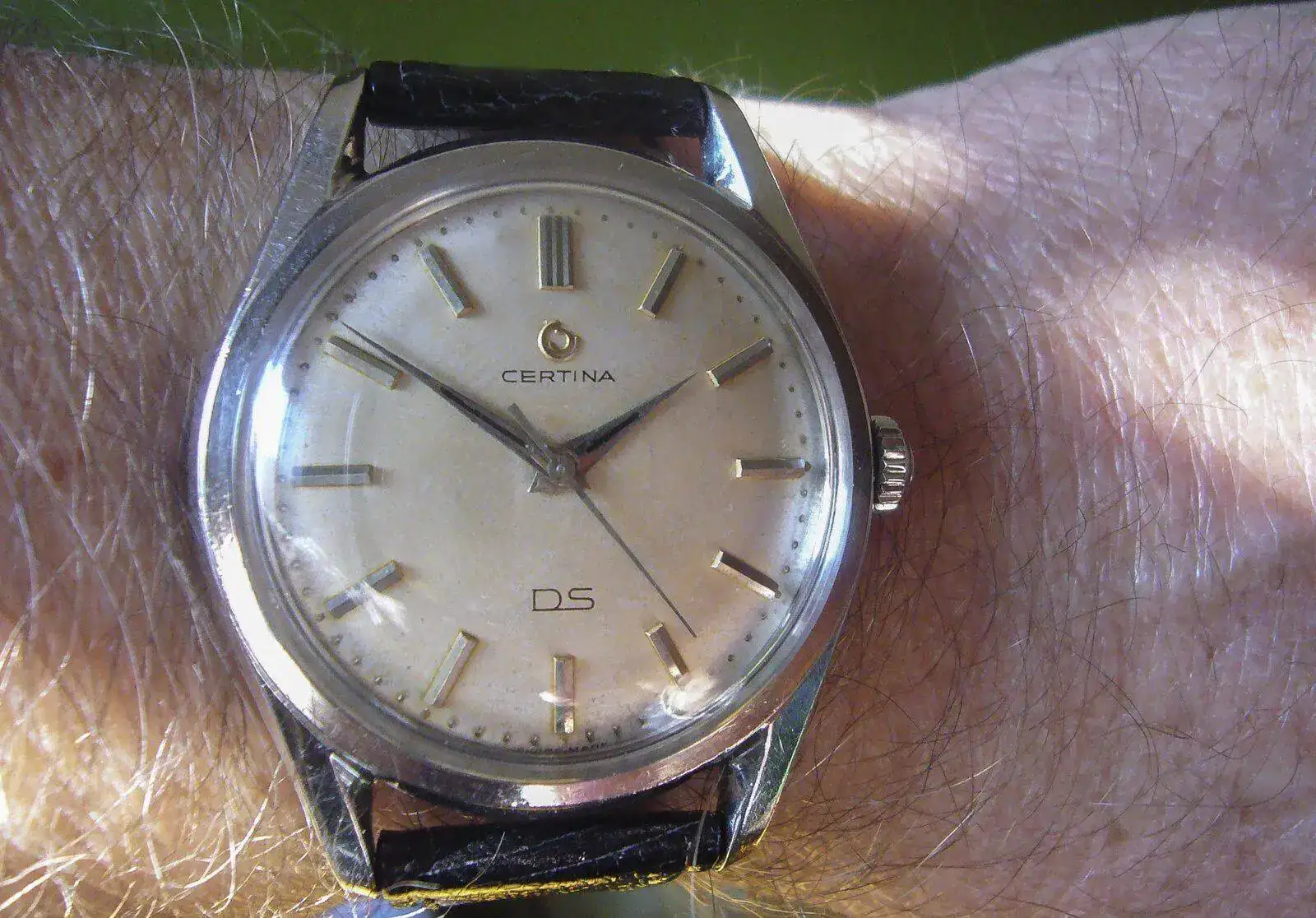 P1130664.webp