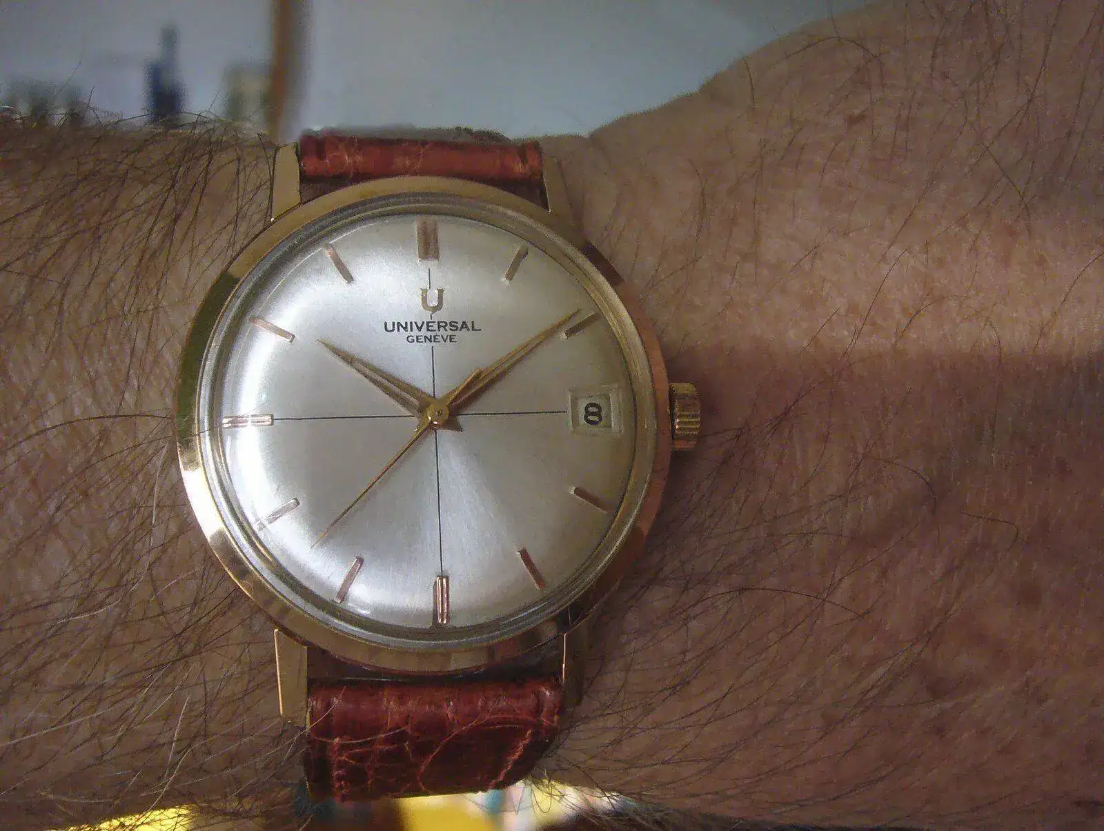 P1130683.webp