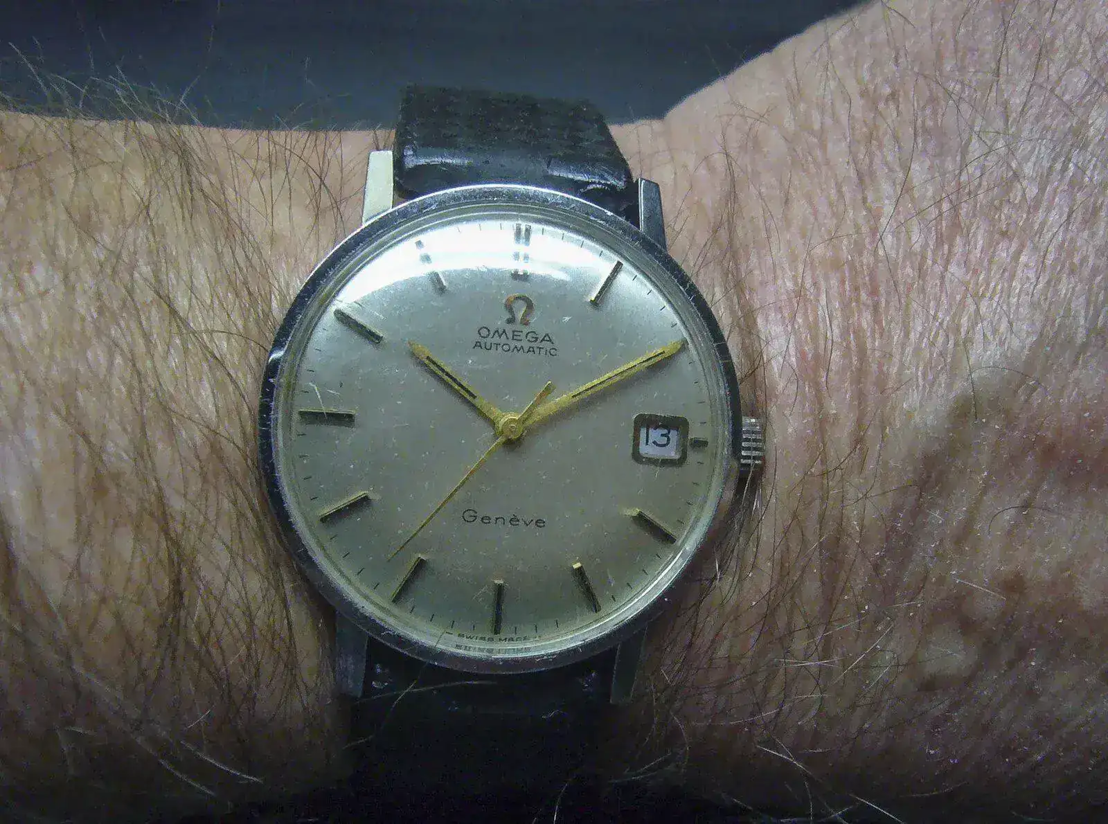 P1130713.JPG