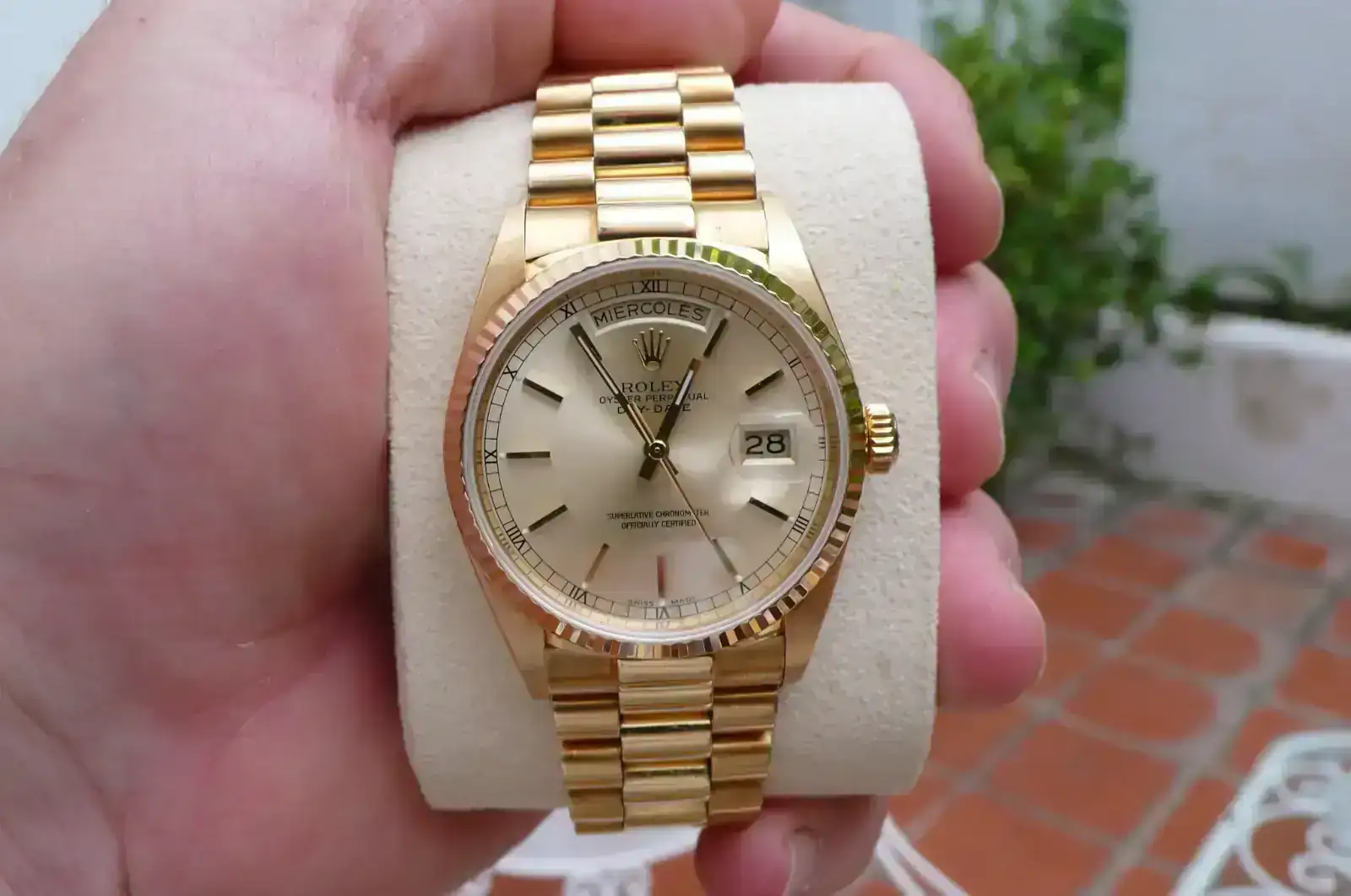 P1130730.webp